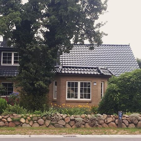 Ferienwohnung Hinz - Gemuetliche Unterkunft Fuer 2 Personen Mit Modernem Bad Ellingstedt Buitenkant foto